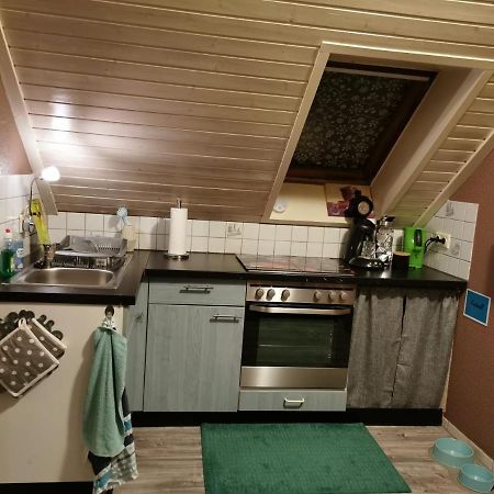 Wohnung Naehe Losheimer Stausee Niederlosheim Екстериор снимка